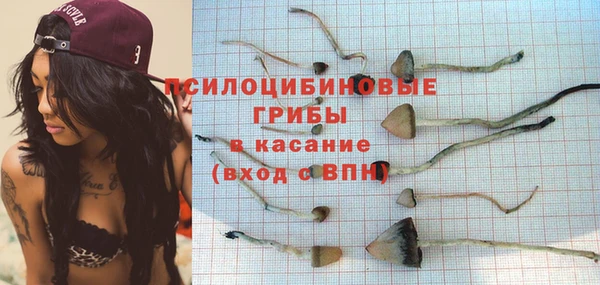 ГАЛЛЮЦИНОГЕННЫЕ ГРИБЫ Верхний Тагил