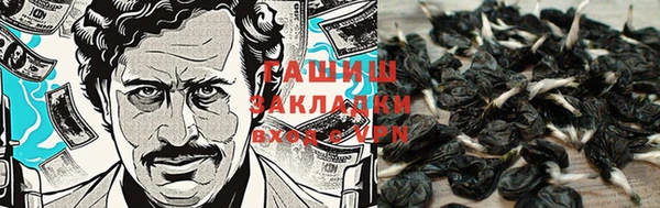 гидра Вязники