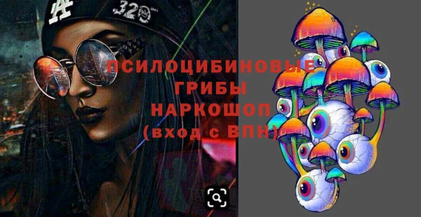 ГАЛЛЮЦИНОГЕННЫЕ ГРИБЫ Верхний Тагил