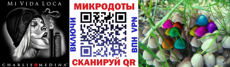 Галлюциногенные грибы Magic Shrooms  сайты даркнета как зайти  Верхний Тагил 